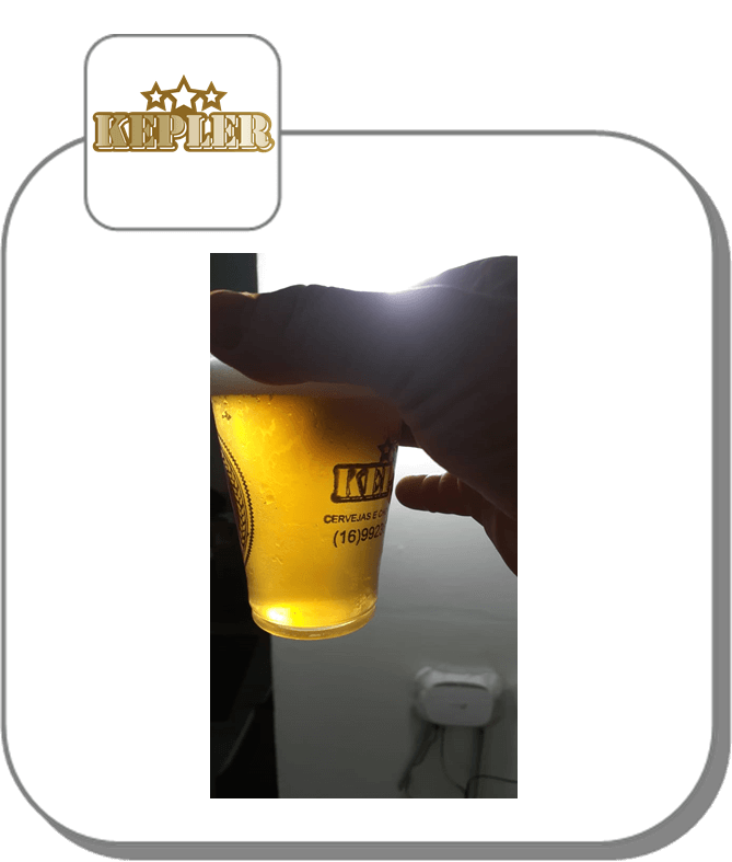 onde encomendar chopp pilsen com gás 