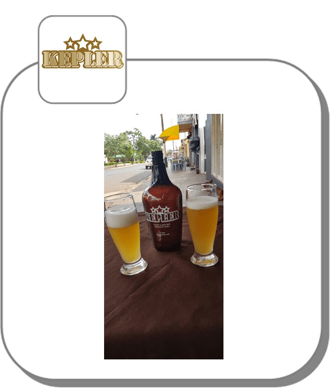cervejaria artesanal 