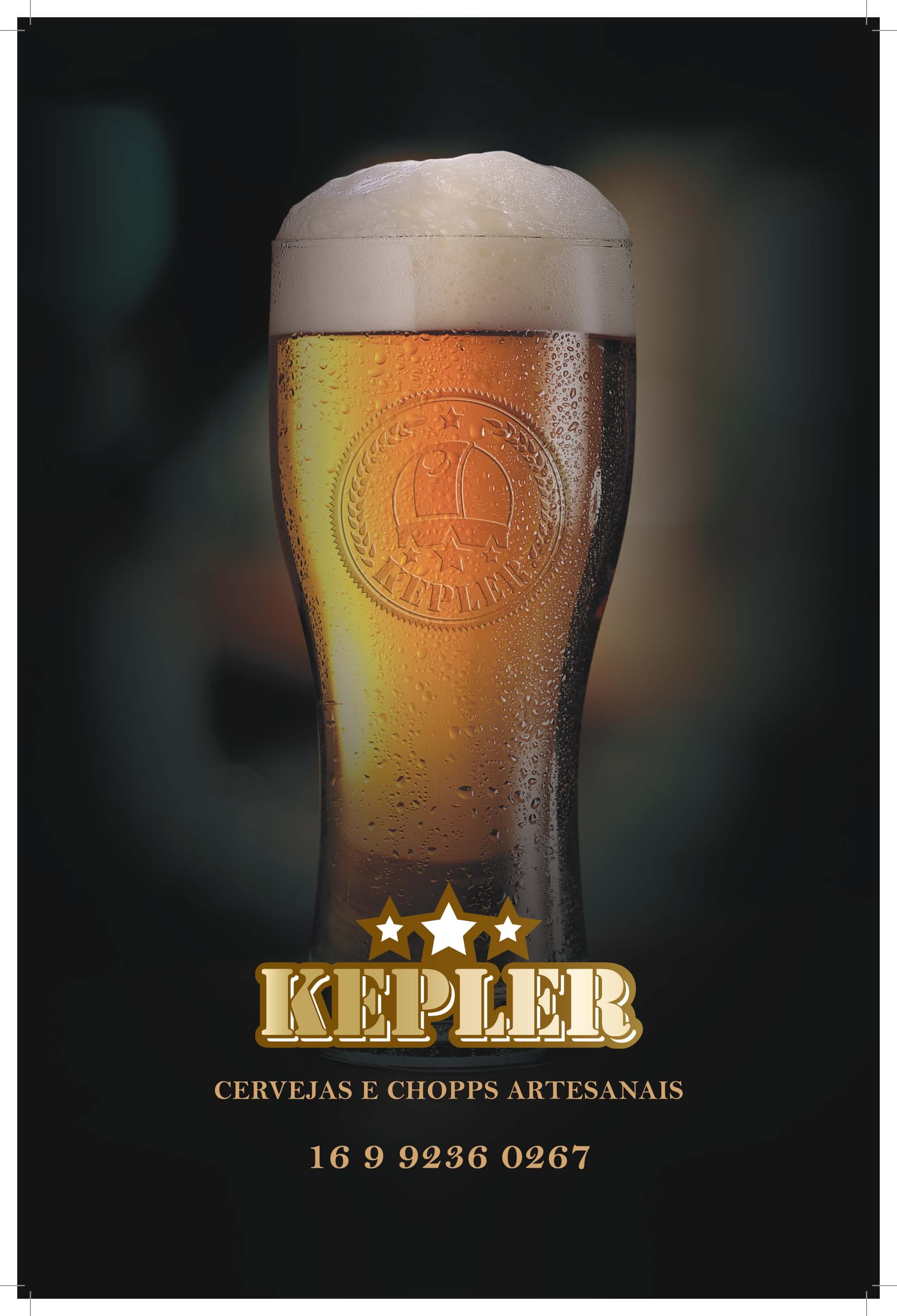 entrega de barril de chopp 20 litros 